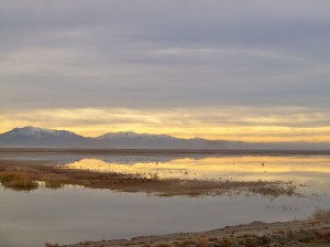 Antelope Island State Park