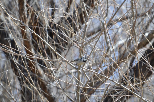 big question mark here