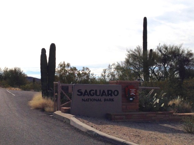 Saguaro National Park Entrance