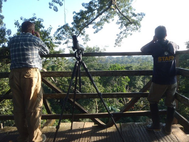 Steve and Wilmer look for birds