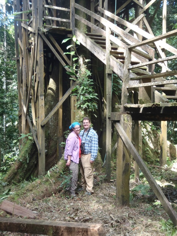 Yes we climbed this thing.