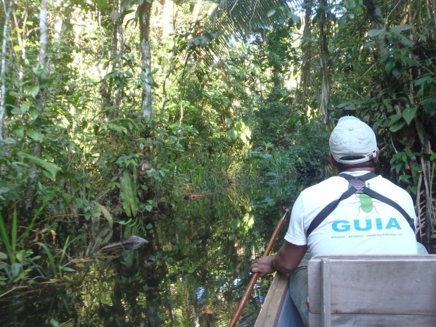 Marcello takes us to the Kapok Tower down one of the many creeks in the Amazon.
