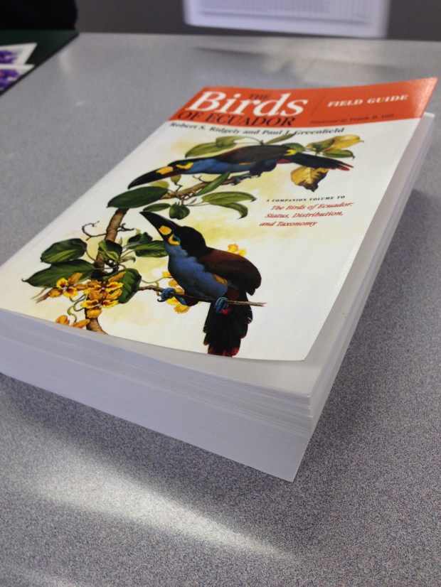 Birds of Ecuador field guide
