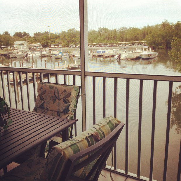 My view every day for 9 days. [Instagram]