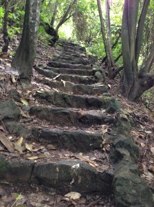 Cerro Punta hike Ecuador