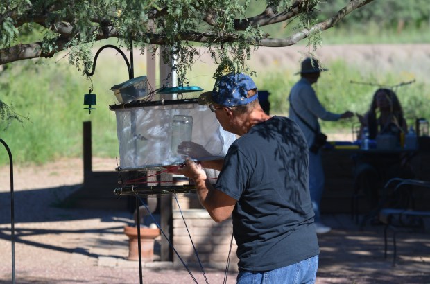 Hummingbird Bonnet trap for banding