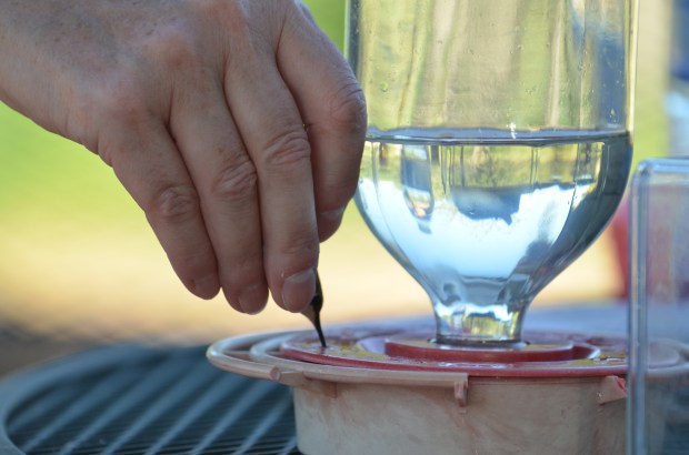 Fueling up after the weighing and measuring.