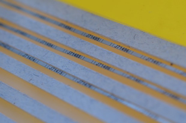 hummingbird banding bands