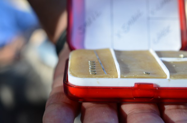 bird bands for hummingbirds