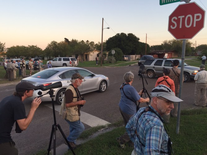 Searching for Parrots