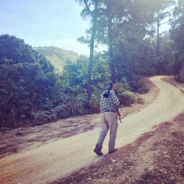 San Sebastian birding