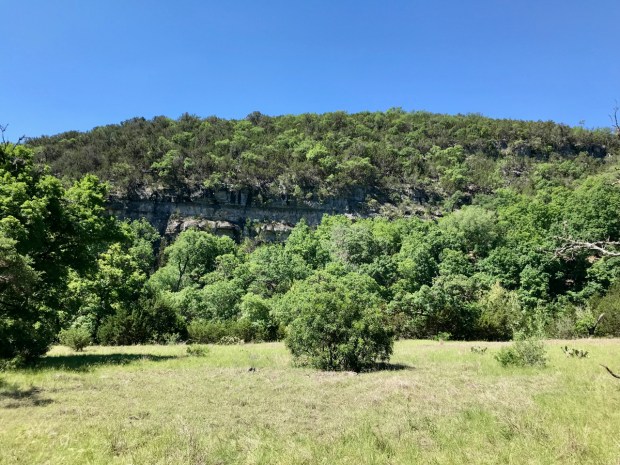 Lost Maples cliff Red-tailed hawk nest Texas