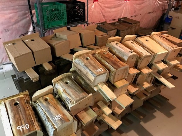 Pile of Eastern Bluebird nest boxes